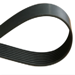 Ribbed Belt